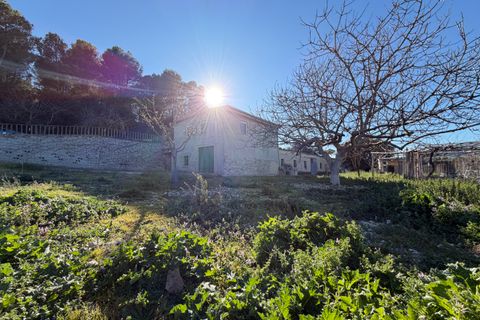 Farm i Planes, Alicante, Planes - € 620.000 | Ref: 10291 - foto 18